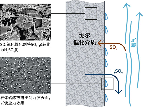 戈尔SO2排放控制模块的工作原理